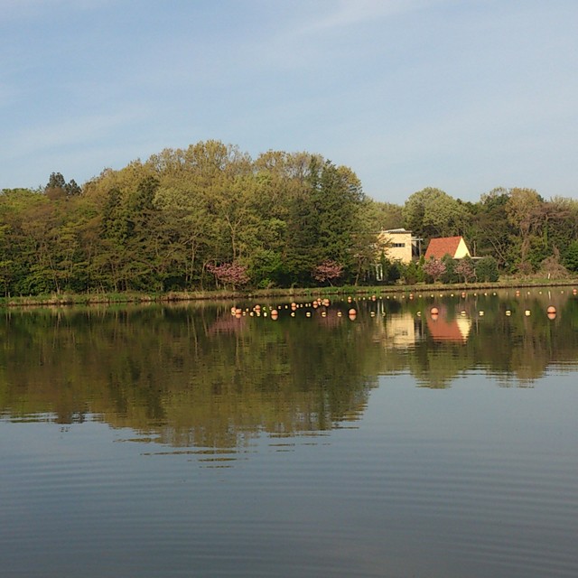 プロショップオオツカ バスフィッシング用品ネット通信販売 ブログ写真 2014/04/29