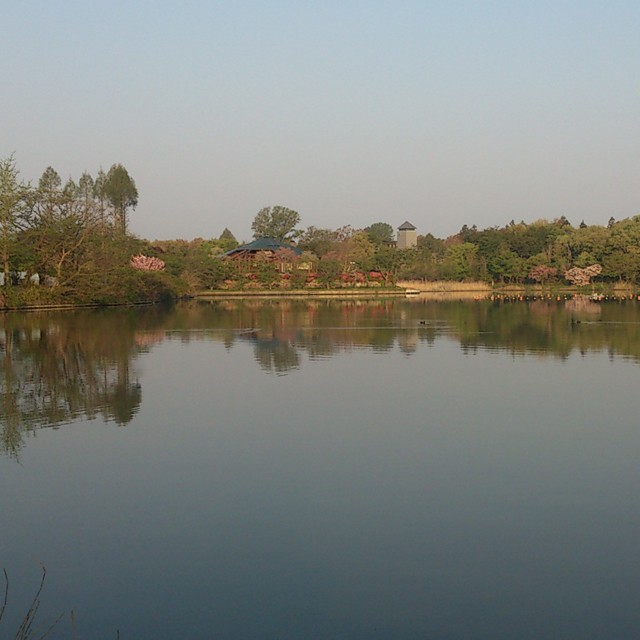 プロショップオオツカ バスフィッシング用品ネット通信販売 ブログ写真 2014/04/29