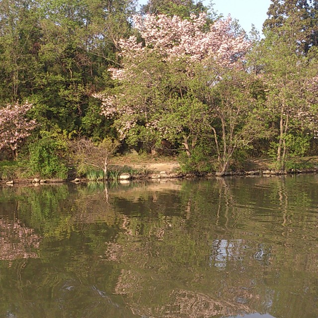 プロショップオオツカ バスフィッシング用品ネット通信販売 ブログ写真 2014/04/29