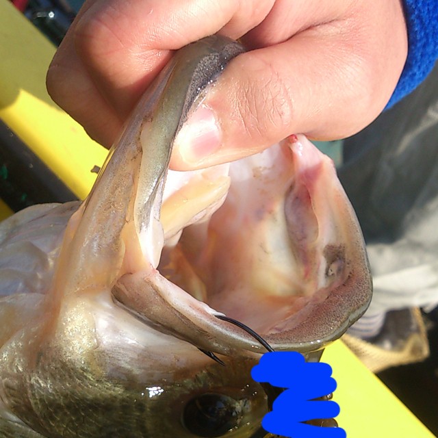 プロショップオオツカ バスフィッシング用品ネット通信販売 ブログ写真 2014/04/29