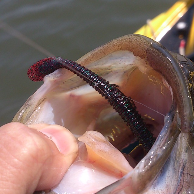 プロショップオオツカ バスフィッシング用品ネット通信販売 ブログ写真 2014/04/29