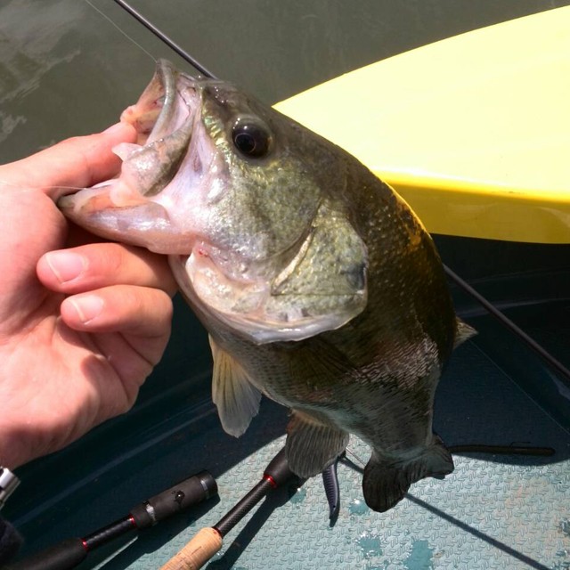 プロショップオオツカ バスフィッシング用品ネット通信販売 ブログ写真 2014/05/10