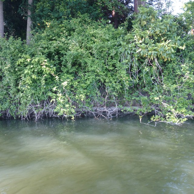 プロショップオオツカ バスフィッシング用品ネット通信販売 ブログ写真 2014/05/10