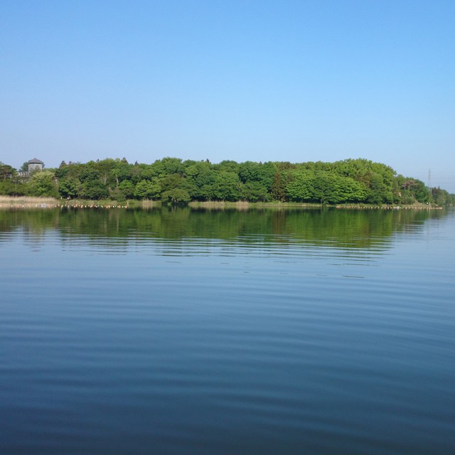 プロショップオオツカ バスフィッシング用品ネット通信販売 ブログ写真 2014/05/10