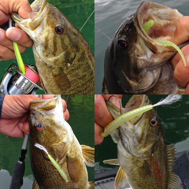 プロショップオオツカ バスフィッシング用品ネット通信販売 ブログ写真 2014/05/16