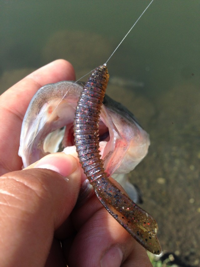 プロショップオオツカ バスフィッシング用品ネット通信販売 ブログ写真 2014/06/02