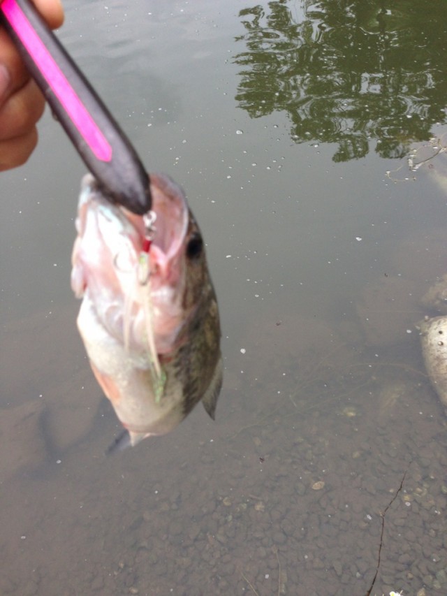 プロショップオオツカ バスフィッシング用品ネット通信販売 ブログ写真 2014/06/02