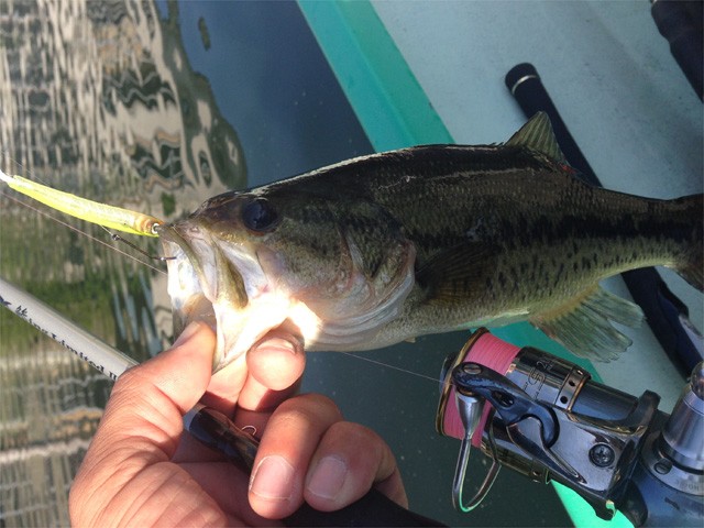 プロショップオオツカ バスフィッシング用品ネット通信販売 ブログ写真 2014/06/03