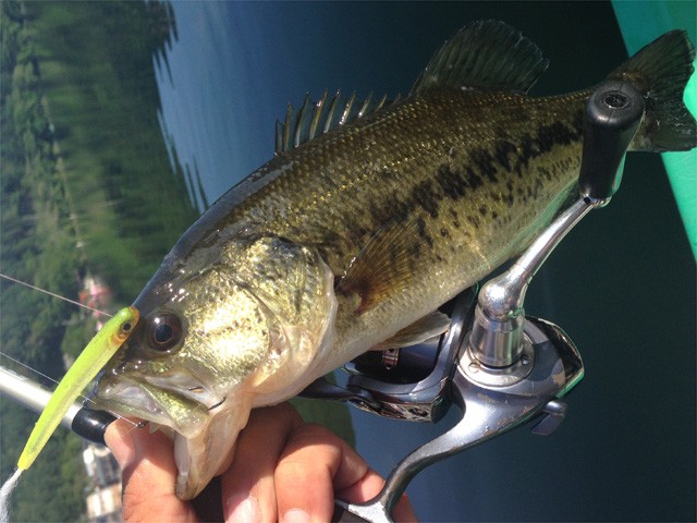 プロショップオオツカ バスフィッシング用品ネット通信販売 ブログ写真 2014/06/03