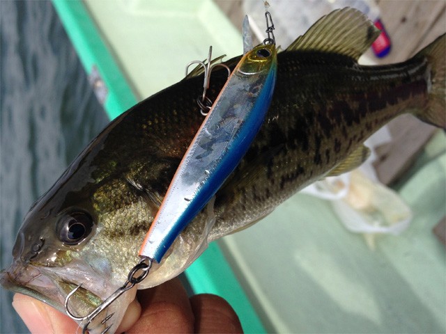 プロショップオオツカ バスフィッシング用品ネット通信販売 ブログ写真 2014/06/03