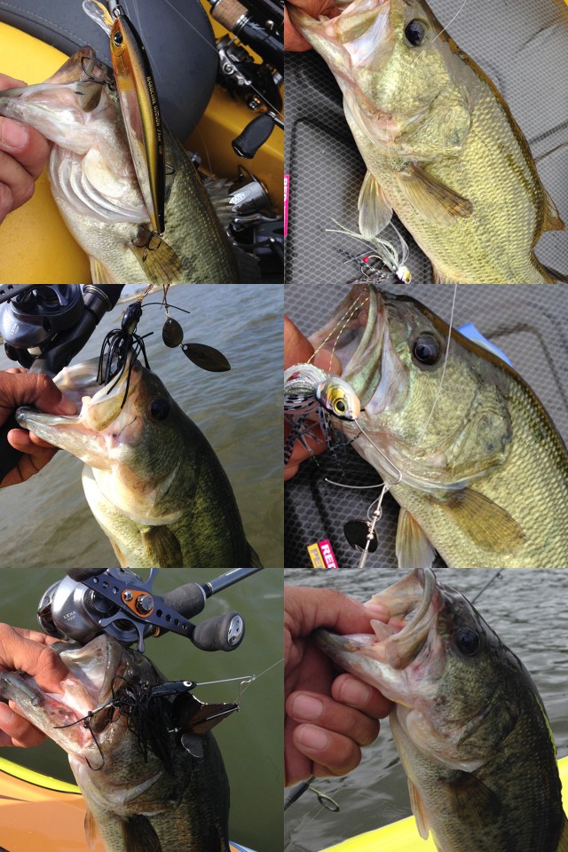 プロショップオオツカ バスフィッシング用品ネット通信販売 ブログ写真 2014/06/12