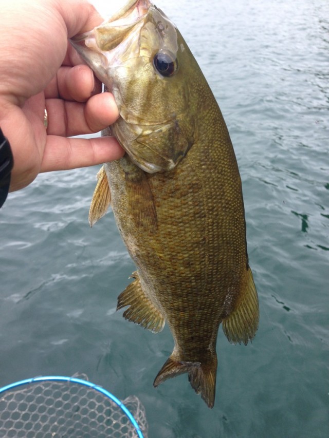 プロショップオオツカ バスフィッシング用品ネット通信販売 ブログ写真 2014/06/14