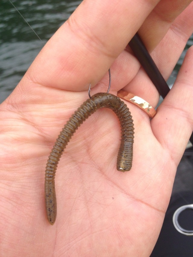 プロショップオオツカ バスフィッシング用品ネット通信販売 ブログ写真 2014/06/14