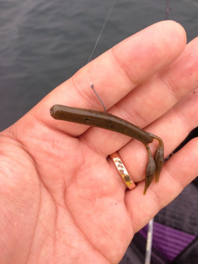 プロショップオオツカ バスフィッシング用品ネット通信販売 ブログ写真 2014/06/14