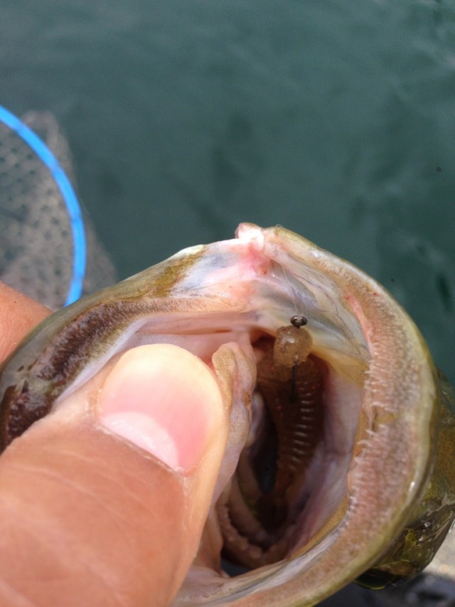 プロショップオオツカ バスフィッシング用品ネット通信販売 ブログ写真 2014/06/14