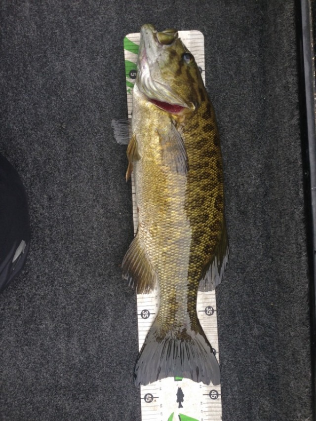 プロショップオオツカ バスフィッシング用品ネット通信販売 ブログ写真 2014/06/14