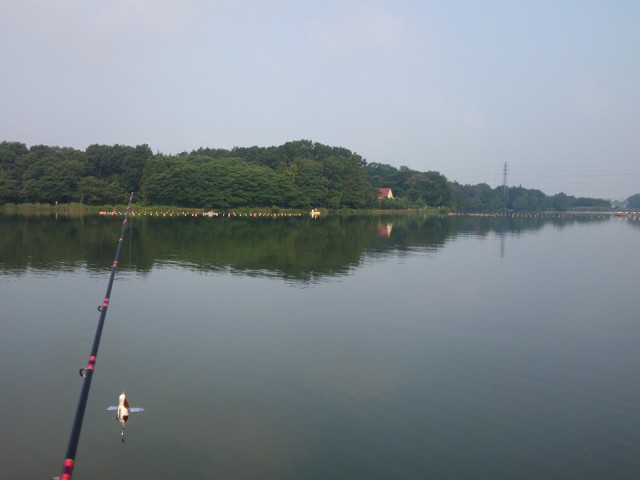 プロショップオオツカ バスフィッシング用品ネット通信販売 ブログ写真 2014/06/19