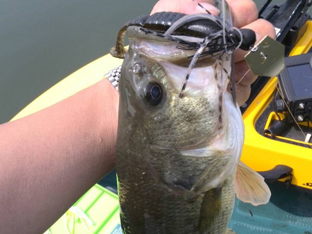 プロショップオオツカ バスフィッシング用品ネット通信販売 ブログ写真 2014/06/19