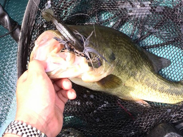 プロショップオオツカ バスフィッシング用品ネット通信販売 ブログ写真 2014/06/19