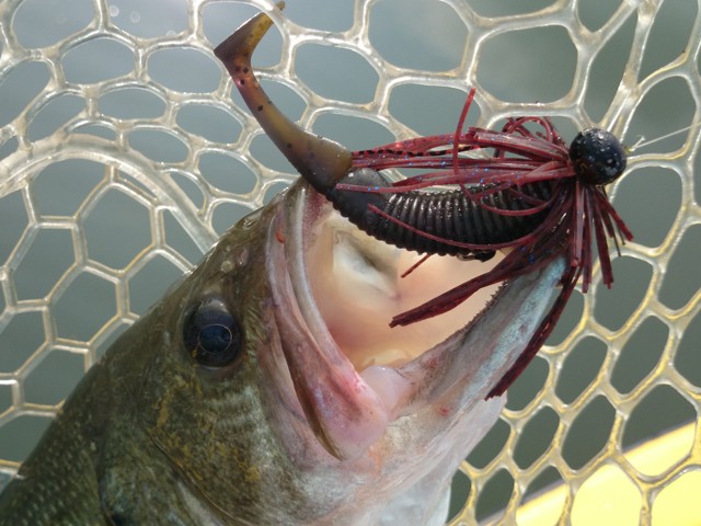 プロショップオオツカ バスフィッシング用品ネット通信販売 ブログ写真 2014/06/19