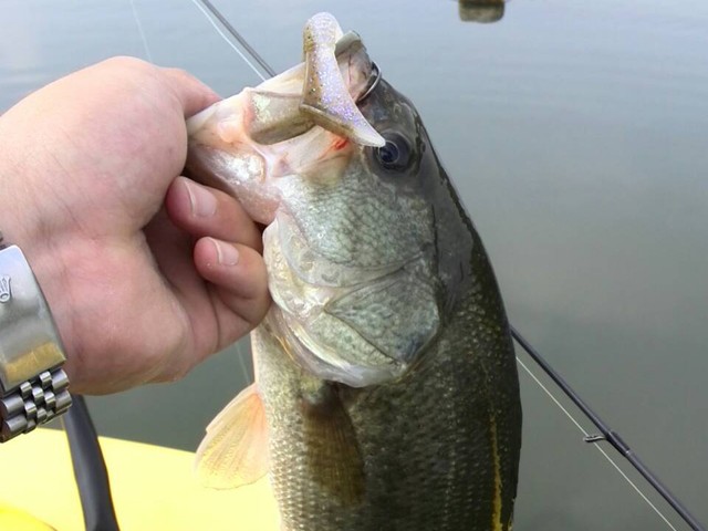 プロショップオオツカ バスフィッシング用品ネット通信販売 ブログ写真 2014/06/19