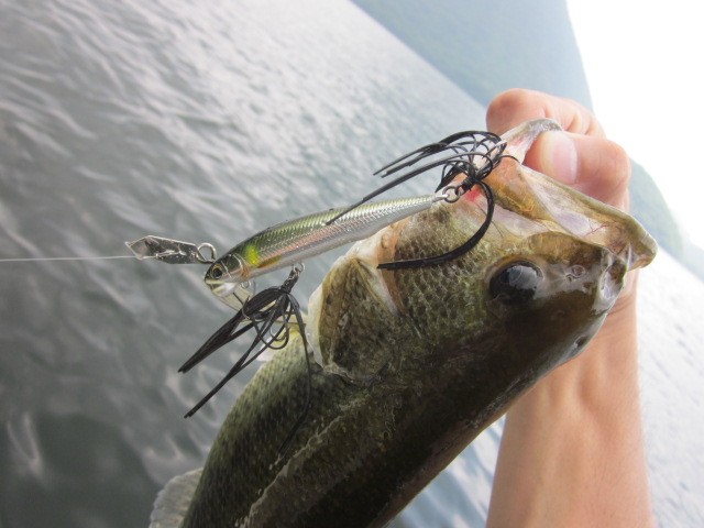 プロショップオオツカ バスフィッシング用品ネット通信販売 ブログ写真 2014/06/19