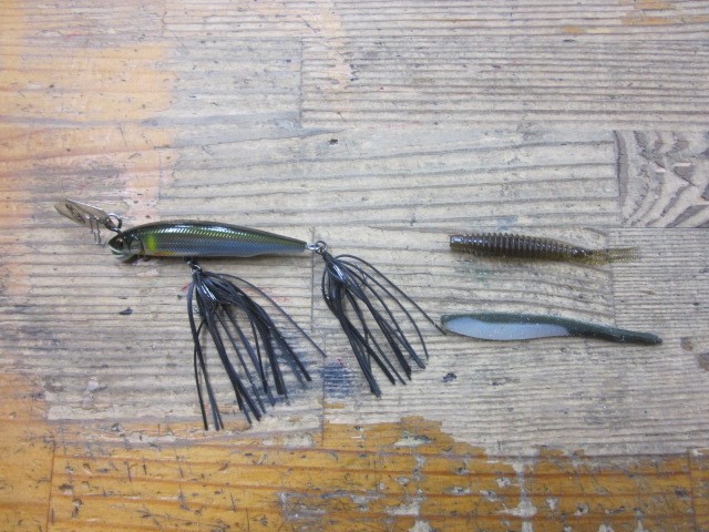 プロショップオオツカ バスフィッシング用品ネット通信販売 ブログ写真 2014/06/19