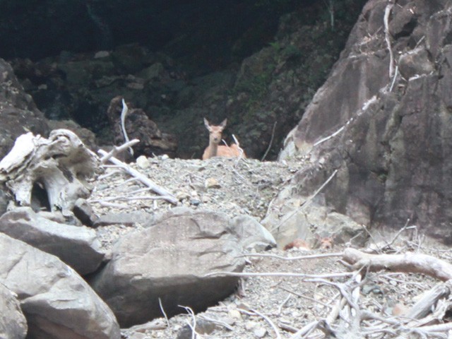 プロショップオオツカ バスフィッシング用品ネット通信販売 ブログ写真 2014/06/21