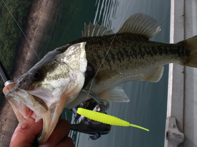 プロショップオオツカ バスフィッシング用品ネット通信販売 ブログ写真 2014/06/21