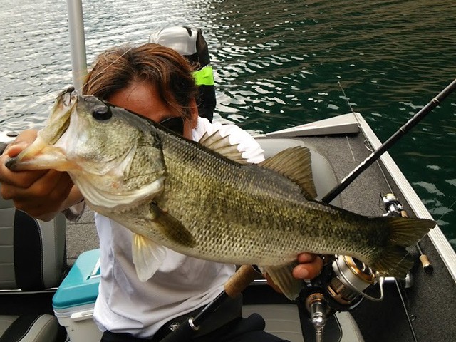 プロショップオオツカ バスフィッシング用品ネット通信販売 ブログ写真 2014/06/21