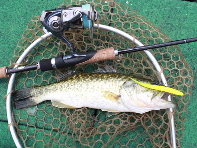 プロショップオオツカ バスフィッシング用品ネット通信販売 ブログ写真 2014/06/21