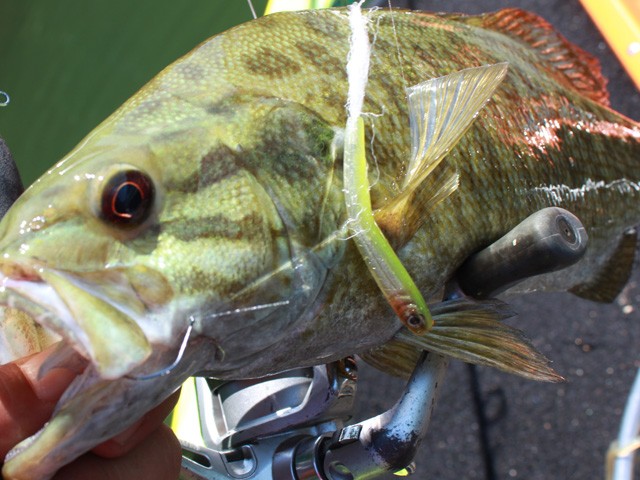 プロショップオオツカ バスフィッシング用品ネット通信販売 ブログ写真 2014/06/27