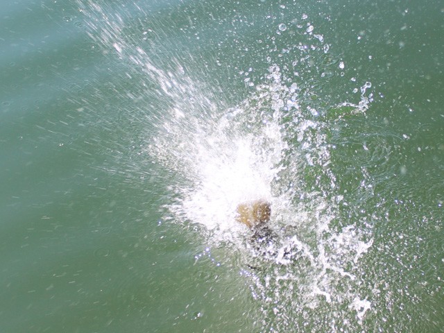 プロショップオオツカ バスフィッシング用品ネット通信販売 ブログ写真 2014/06/27