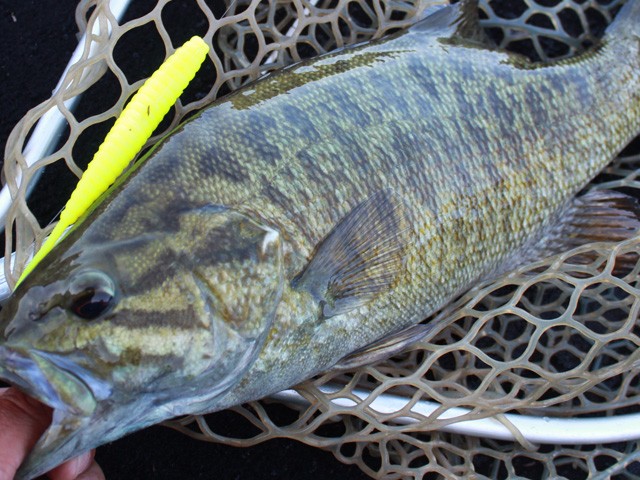 プロショップオオツカ バスフィッシング用品ネット通信販売 ブログ写真 2014/06/27