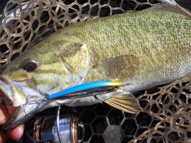 プロショップオオツカ バスフィッシング用品ネット通信販売 ブログ写真 2014/06/27