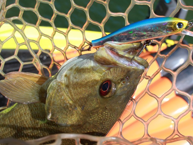 プロショップオオツカ バスフィッシング用品ネット通信販売 ブログ写真 2014/06/27