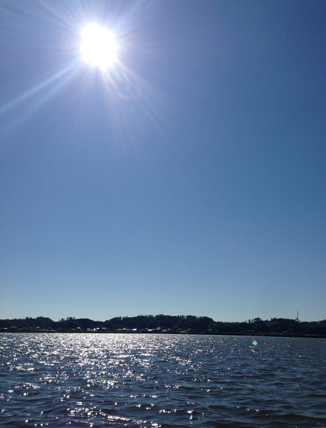 プロショップオオツカ バスフィッシング用品ネット通信販売 ブログ写真 2014/06/27