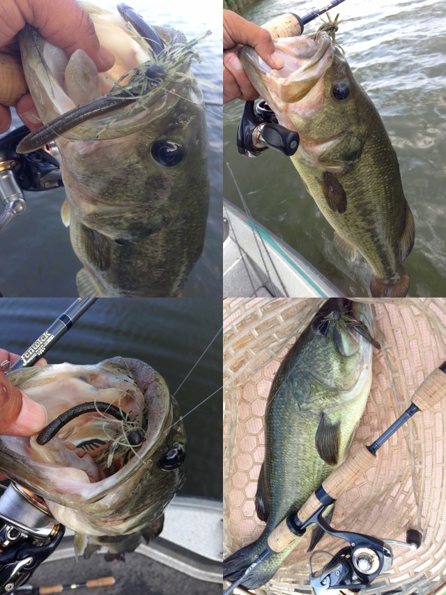 プロショップオオツカ バスフィッシング用品ネット通信販売 ブログ写真 2014/07/24