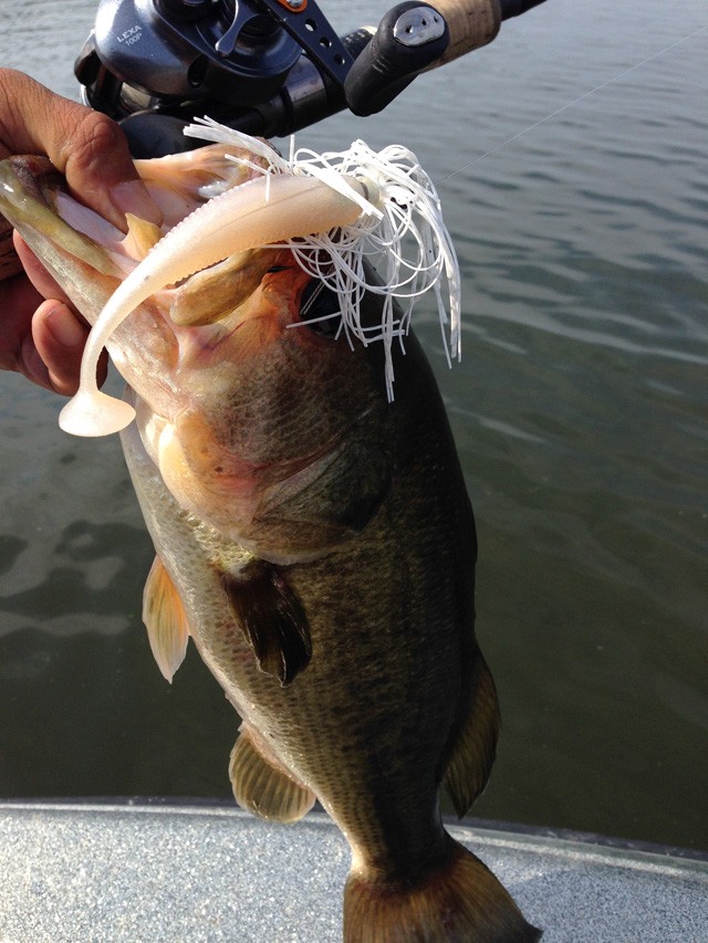 プロショップオオツカ バスフィッシング用品ネット通信販売 ブログ写真 2014/07/24