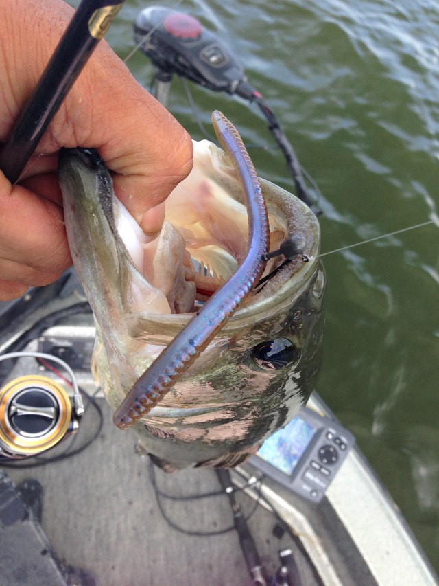 プロショップオオツカ バスフィッシング用品ネット通信販売 ブログ写真 2014/07/24