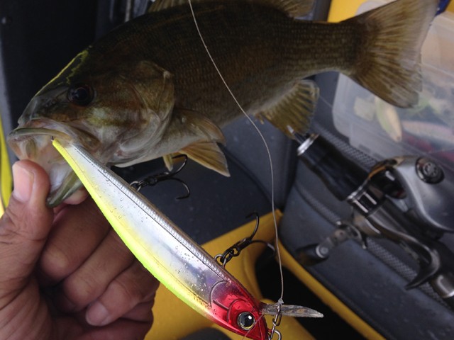 プロショップオオツカ バスフィッシング用品ネット通信販売 ブログ写真 2014/08/13