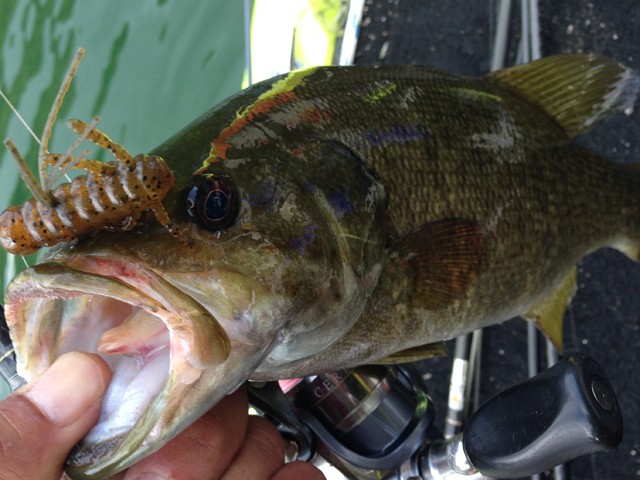 プロショップオオツカ バスフィッシング用品ネット通信販売 ブログ写真 2014/08/13