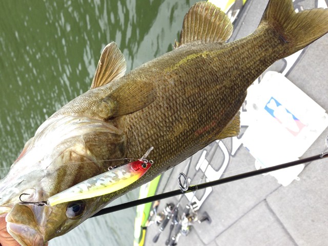 プロショップオオツカ バスフィッシング用品ネット通信販売 ブログ写真 2014/08/13