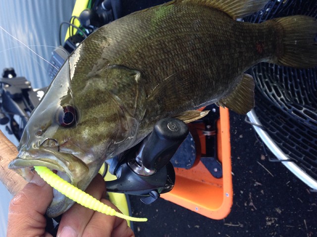 プロショップオオツカ バスフィッシング用品ネット通信販売 ブログ写真 2014/08/13