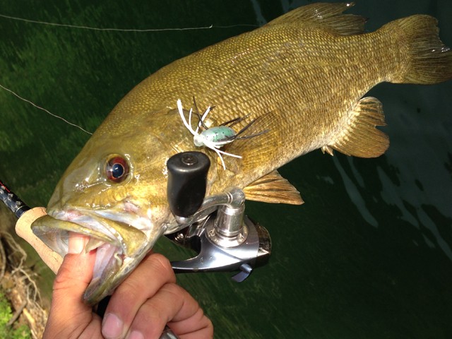 プロショップオオツカ バスフィッシング用品ネット通信販売 ブログ写真 2014/08/13