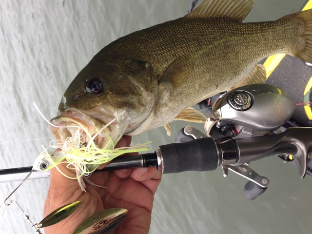 プロショップオオツカ バスフィッシング用品ネット通信販売 ブログ写真 2014/08/13