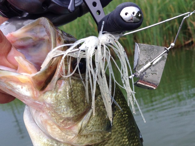 プロショップオオツカ バスフィッシング用品ネット通信販売 ブログ写真 2014/08/24