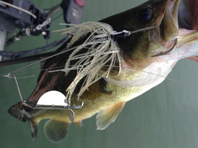 プロショップオオツカ バスフィッシング用品ネット通信販売 ブログ写真 2014/08/24