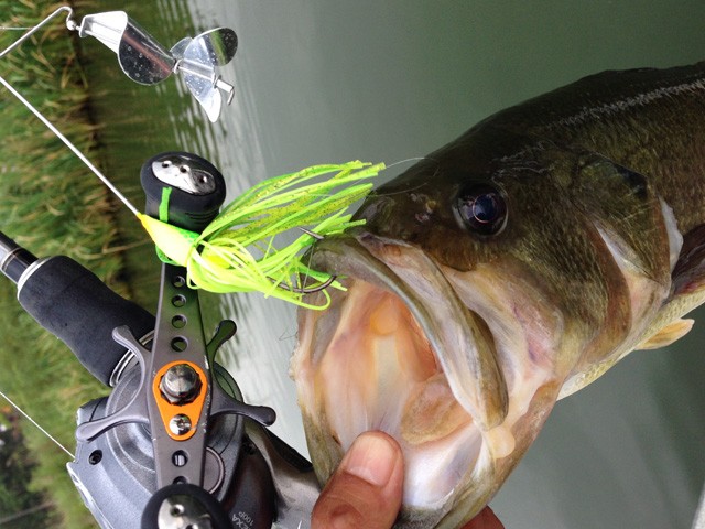 プロショップオオツカ バスフィッシング用品ネット通信販売 ブログ写真 2014/08/24