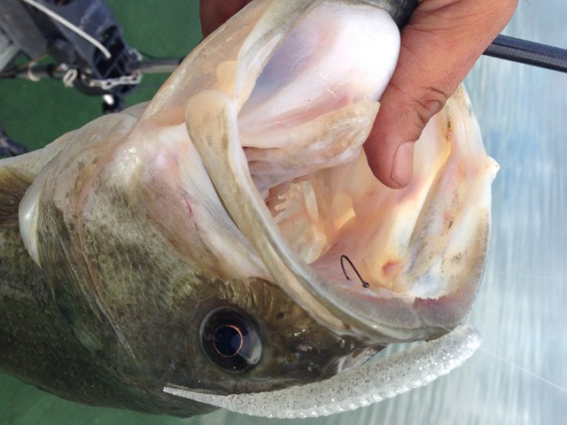 プロショップオオツカ バスフィッシング用品ネット通信販売 ブログ写真 2014/08/24